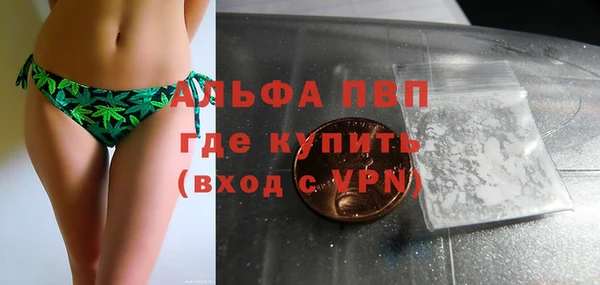 apvp Инсар