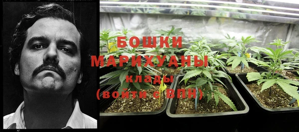 apvp Инсар