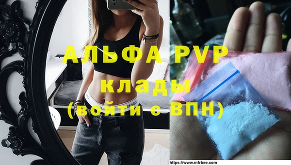 apvp Инсар