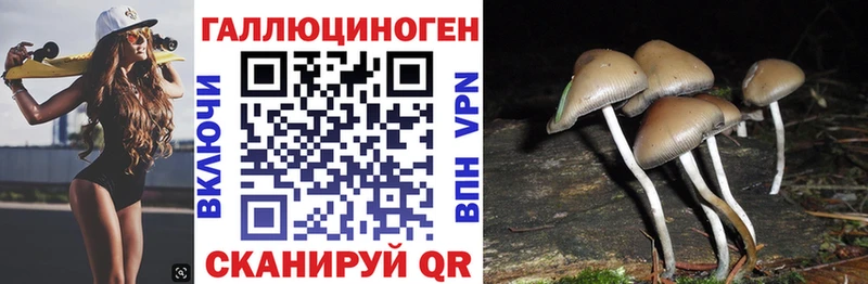 Галлюциногенные грибы Magic Shrooms  Кизляр 
